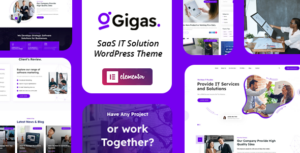 Gigas - Khởi nghiệp phần mềm, chủ đề WordPress SaaS