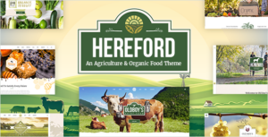 Hereford - Chủ đề Nông nghiệp và Thực phẩm hữu cơ