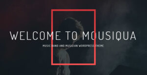 Mousiqua | Chủ đề WordPress OnePage dành cho ban nhạc và nhạc sĩ