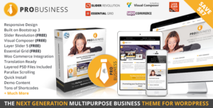 PRO Business - Chủ đề đa năng đáp ứng