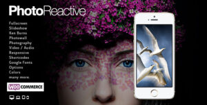 PhotoReactive | Chủ đề WordPress
