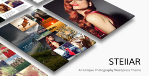 Stellar | Nhiếp ảnh WordPress