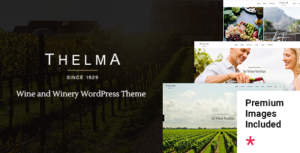 Thelma - Chủ đề WordPress về nhà máy rượu