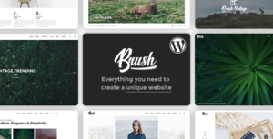Brush - Một chủ đề WordPress đa năng