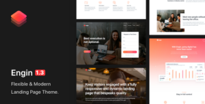 Engin - Chủ đề WordPress trang đích đa năng