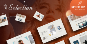 Lựa chọn - Chủ đề WordPress cho tạp chí và blog