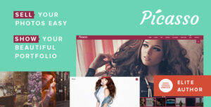 Picasso - Chủ đề WordPress về Nhiếp ảnh, Danh mục đầu tư