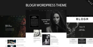 BLOGR - Chủ đề WordPress dành cho những người viết blog đặc biệt