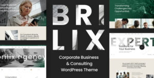 Brilix - Chủ đề WordPress tư vấn và kinh doanh doanh nghiệp