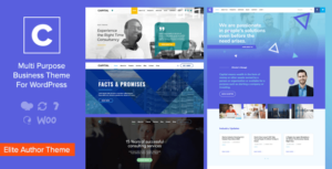Capital - Chủ đề WordPress kinh doanh đa mục đích