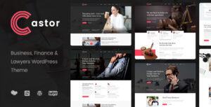 Castor - Chủ đề WordPress tư vấn kinh doanh