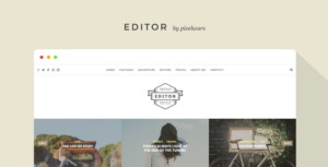 Editor - Một chủ đề WordPress dành cho người viết blog