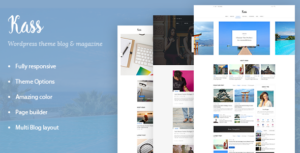 Kass - Chủ đề WordPress đa blog/tạp chí