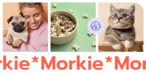 Morkie - Cửa hàng thú cưng và chủ đề chăm sóc thú cưng