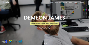 Profix - Chủ đề WordPress danh mục đầu tư cá nhân