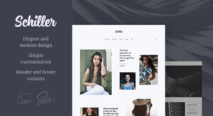 Schiller – Chủ đề blog cá nhân