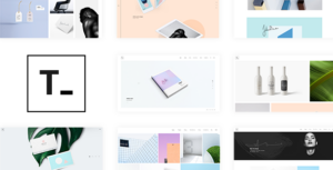 Tamashi - Chủ đề danh mục đầu tư