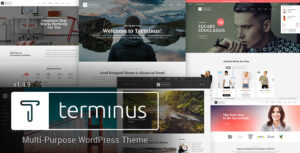 Terminus - Chủ đề WordPress đa mục đích đáp ứng