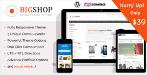 The Bigshop - Chủ đề WordPress WooC Commerce!