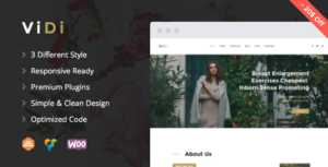 ViDi - Theme WordPress doanh nghiệp đa năng